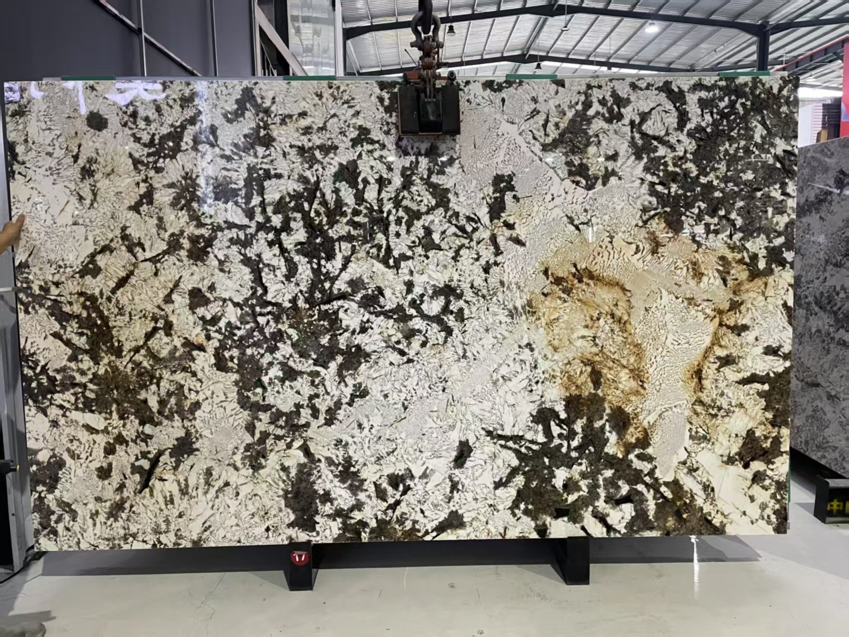 PAT-006 black and ivory graphic Patagonia slab